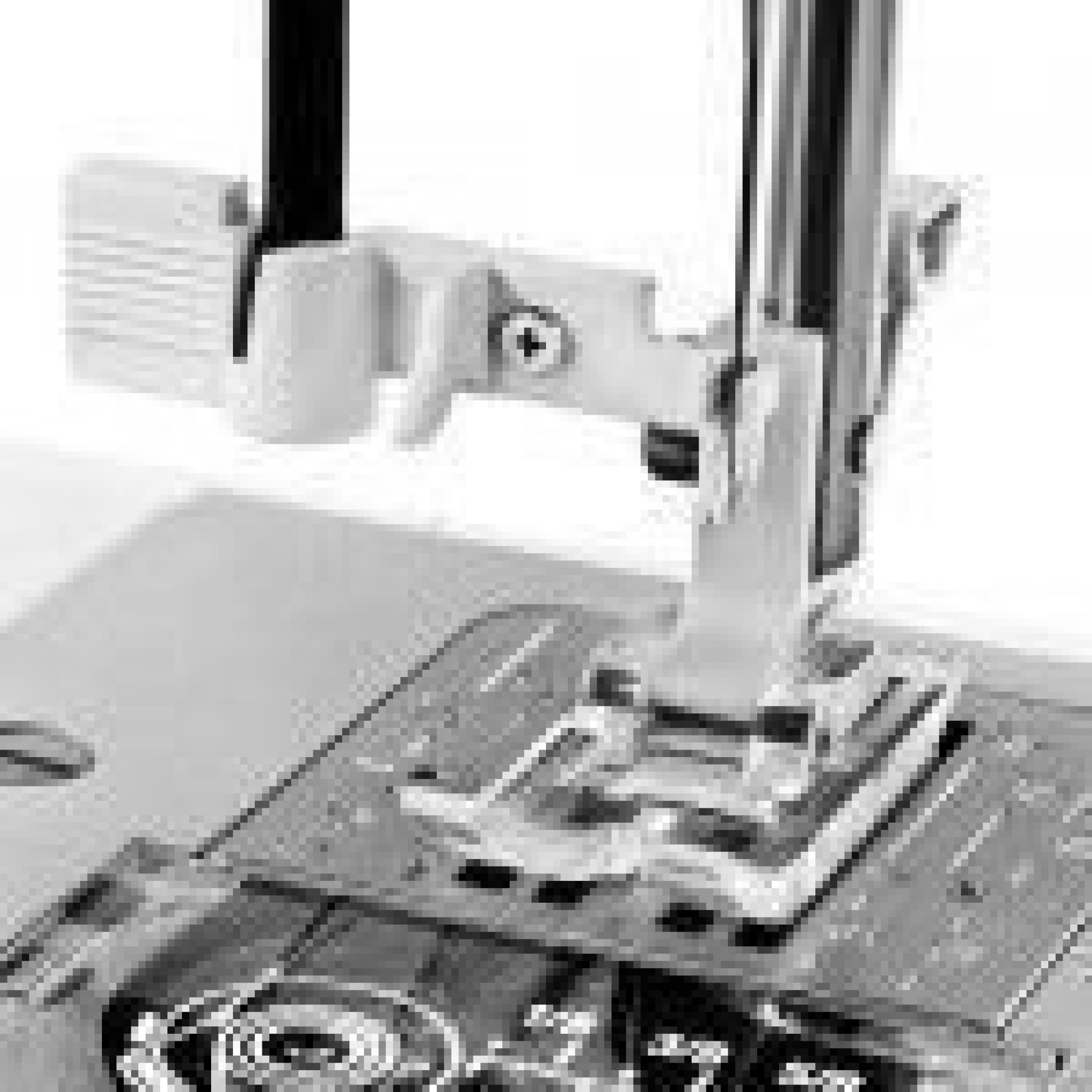 Janome Juno DC1030 sewing machine The Sewing Machine Company