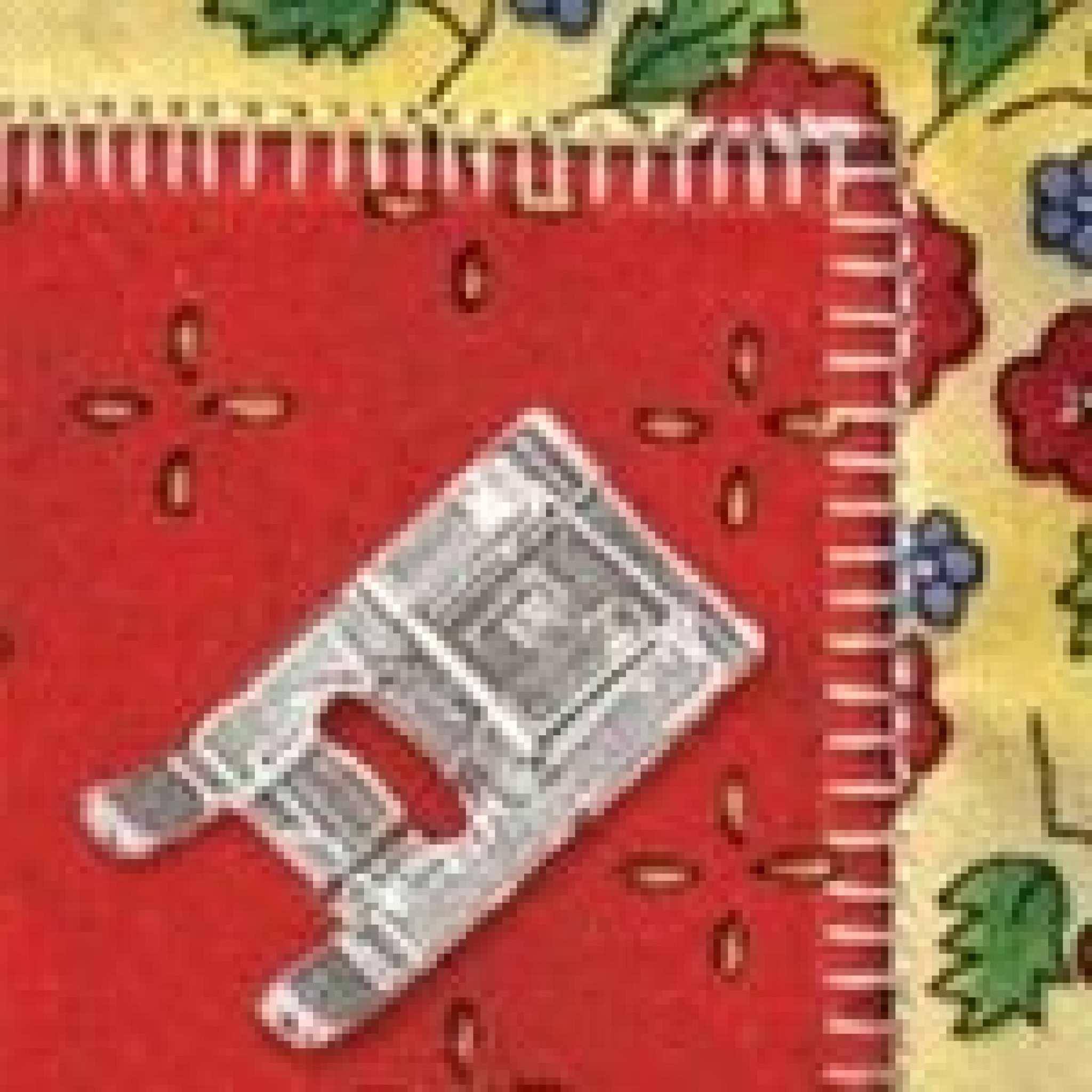 Janome DC2150 sewing machine The Sewing Machine Company