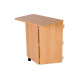 The Horn Outback sewing cabinet (3)