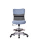 The Horn LUX-i-Chair in Sa Blue colour